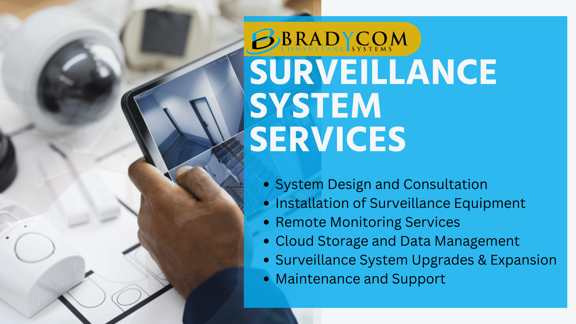 Surveillance Systems
